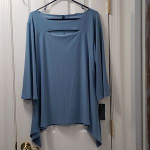 Ashley Blue blue top